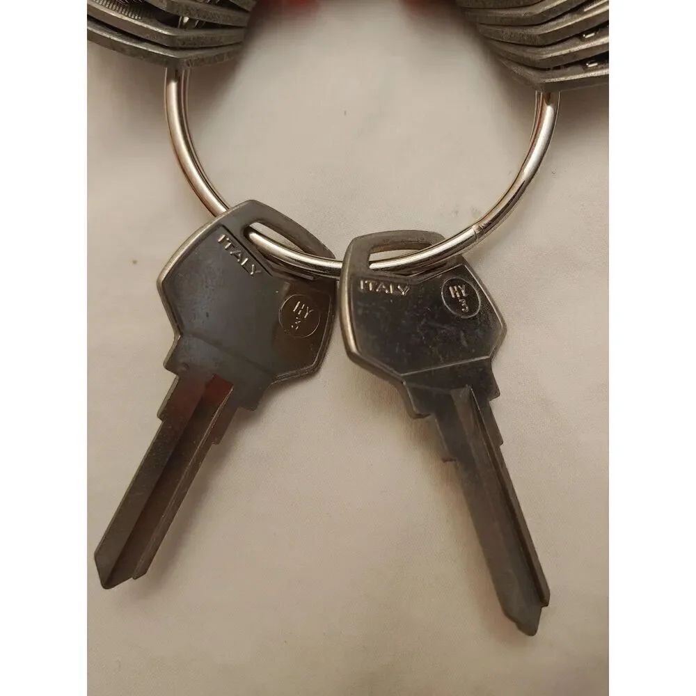 Set Of 2 Harley Davidson Silca Blank HY3 Keys